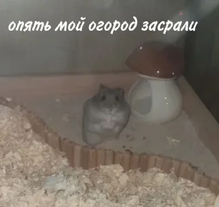 🥲