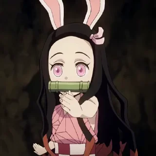 🐰