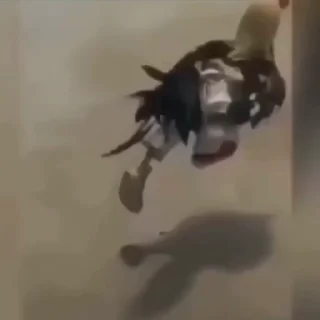 🐓