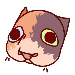 🐱