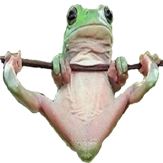 🏋