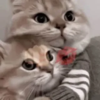 💋