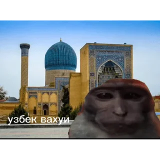 🐵