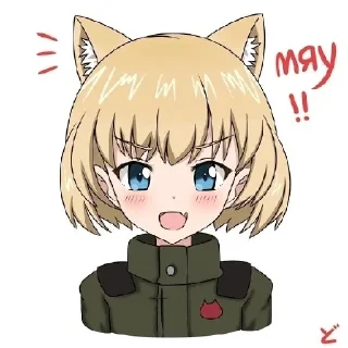 😸