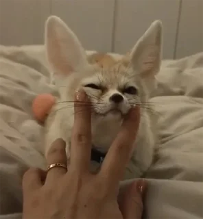 😌