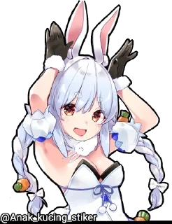 🐇