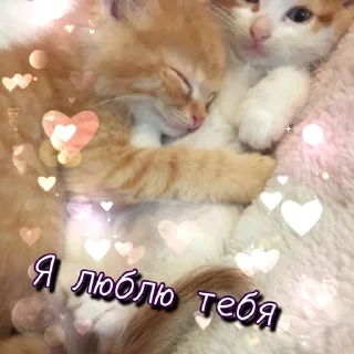 🥰