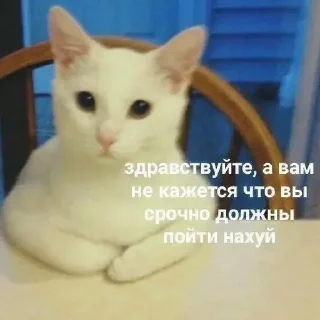 👋