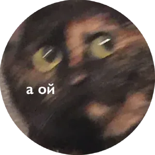 😳
