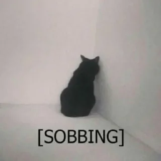 🐱