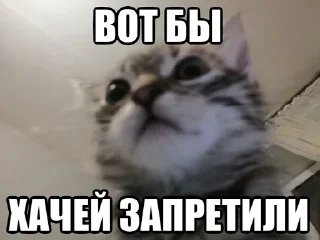 🥳