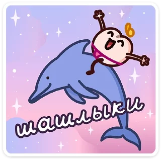 🐬