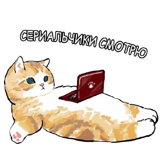 🧑‍💻
