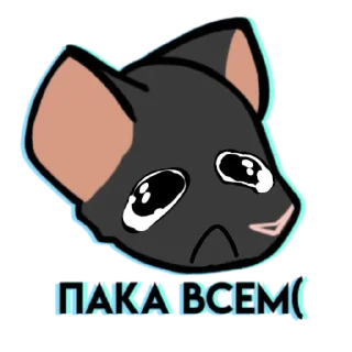 🐀