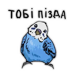 🥺