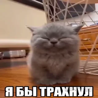 🍓