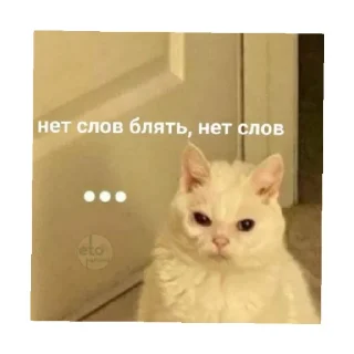 🗿