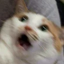😨