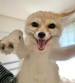 😃