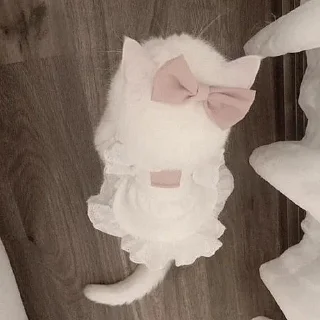 🐈‍⬛
