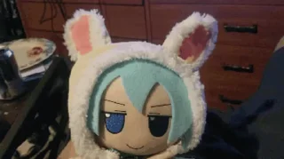 🐰