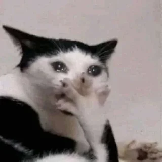 😧