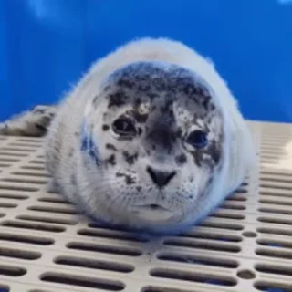 😌