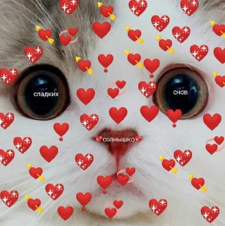 ❤️