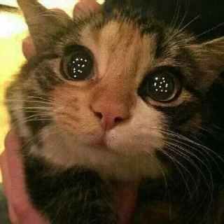 😁