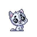 😼