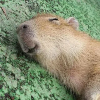 ☺