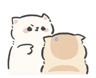 🐱