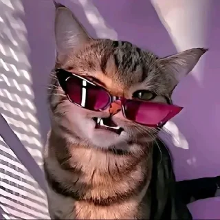 💖