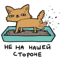 CI Cat