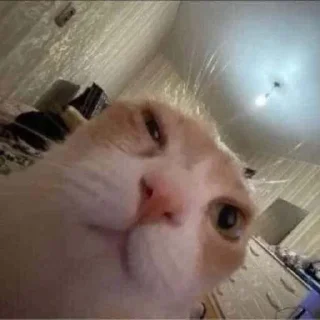 🤨