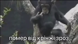 😵