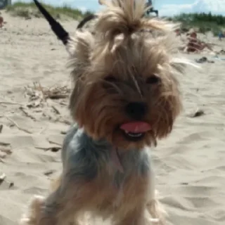 😊