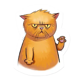 🙀