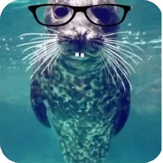🌊