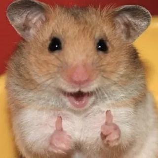 👍