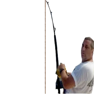 🎣