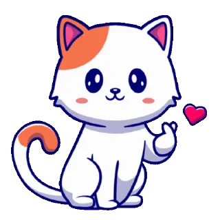 🐱