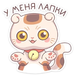 🤷‍♀