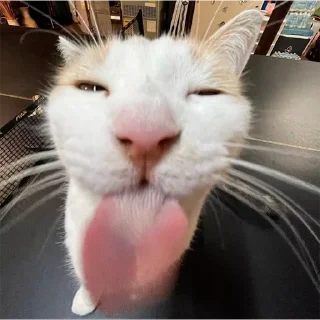 😛