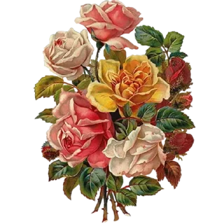 💐