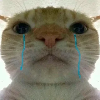😭