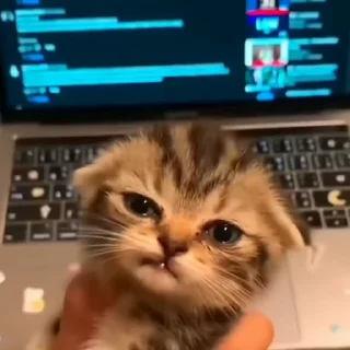 🤩