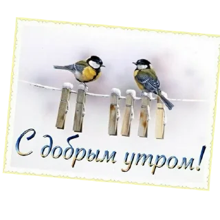 🐦
