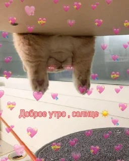 😴