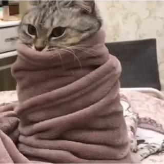 😳
